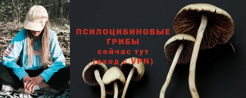 гидра ONION  Новозыбков  Псилоцибиновые грибы Psilocybine cubensis 